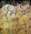 Zwei Rehe im Schilf